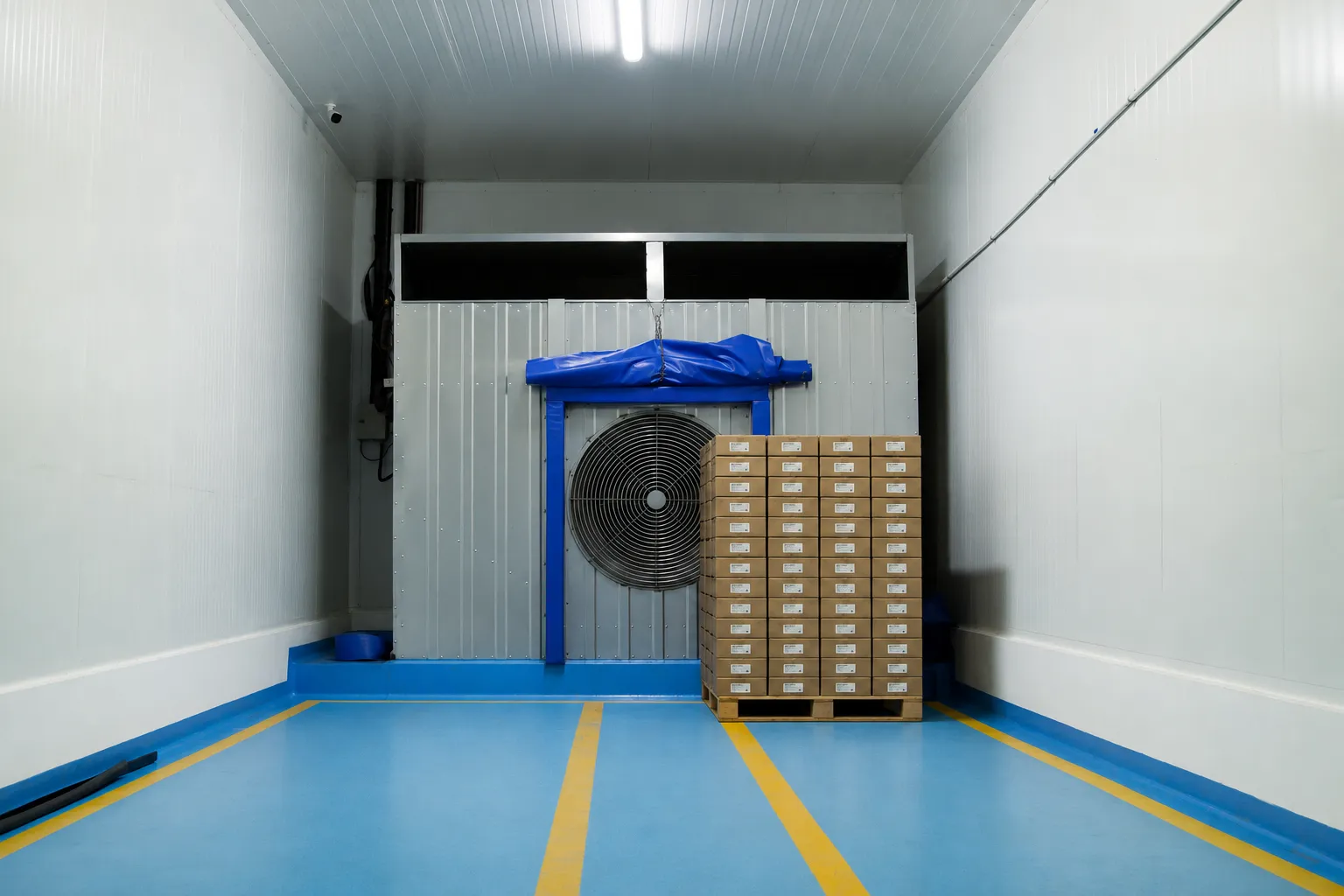 Cajas de fruta frente al ventilador de un túnel de preenfrío por aire forzado en la planta de Bonum.